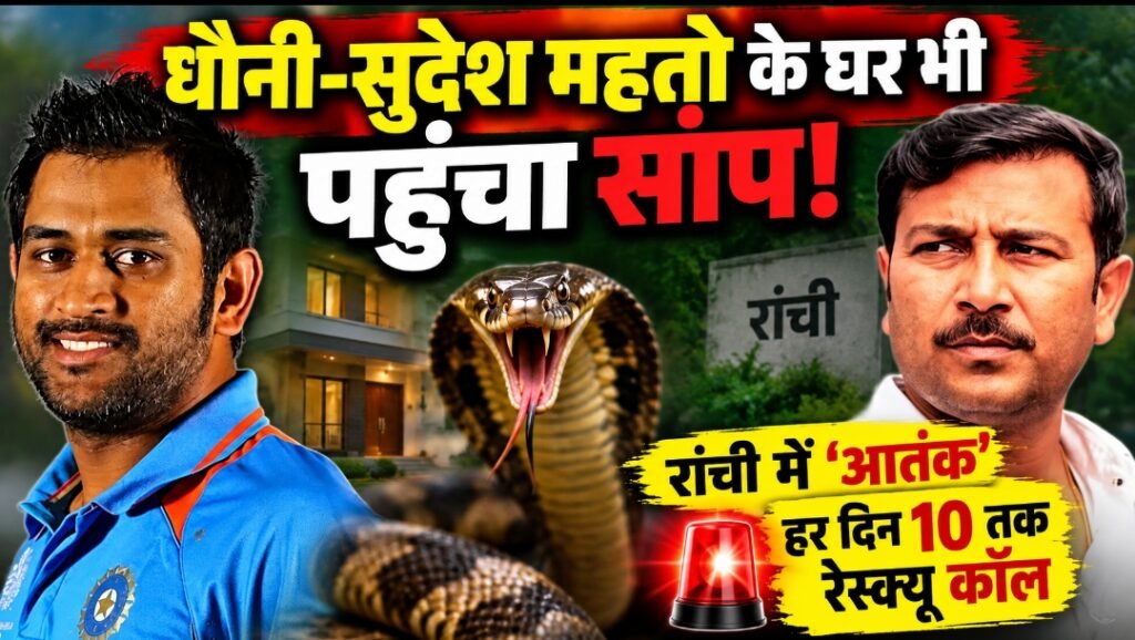 धौनी-सुदेश महतो के घर भी पहुंचा सांप! रांची में ‘आतंक’, हर दिन 10 तक रेस्क्यू कॉल